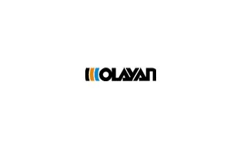 Olayan Financing Company: A Corporate Leader in the Middle East