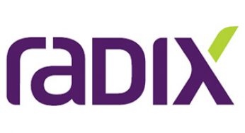 Radix: Best Engineering IT Solutions Brazil 2017