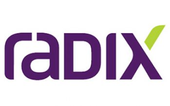 Radix: Best Engineering IT Solutions Brazil 2017