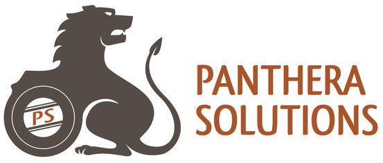 Panthera Solutions: Most Innovative Boutique Asset Allocation Consultancy Europe 2019