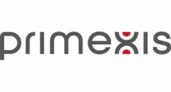 Primexis: Best Business Accounting & Consulting Services France 2020