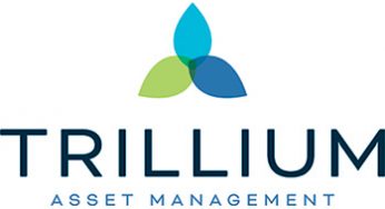 Trillium Asset Management: Best ESG Investment Integration United States 2020