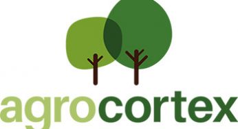 Agrocortex: Best REDD Expert Latin America 2020
