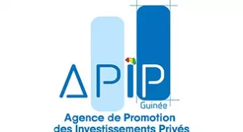 APIP-Guinée: Female Entrepreneurship Partner Africa 2023