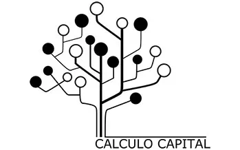 Calculo Evolution Fund, Calculo Capital: Best AI Commodity Trading Strategy Europe 2023