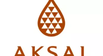 Aksal Group: Best ESG Clothing Conglomerate North Africa 2016