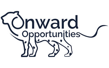 Onward Opportunities Ltd: Excellence in Small-Cap Value Investing & Return Generation UK 2025