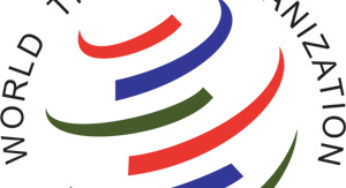 WTO Forecasts Gradual Recovery Despite Cut in Trade Forecasts