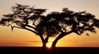 World Bank: Efforts for Better Land Governance in Africa