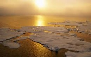 IPPC Report on Global Warming: Formidable Effort in Juggling with Fuzzy Numbers
