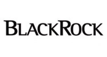 BlackRock: Bridging the Gap – The Rise of Infra Funds in Privately Financed Infrastructure