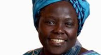 Wangari Maathai: Attaining Peace that Endures, One Tree at a Time