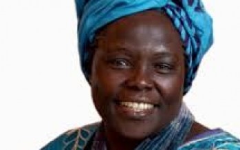 Wangari Maathai: Attaining Peace that Endures, One Tree at a Time
