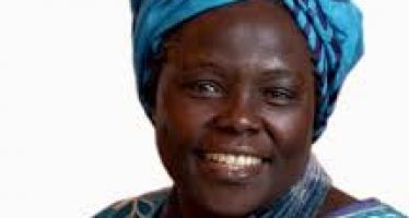 Wangari Maathai: Attaining Peace that Endures, One Tree at a Time