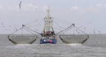 Fishing for a Sustainable and Equitable Future in the Pacific