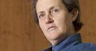 Temple Grandin: Autism Drives Academic Excellence