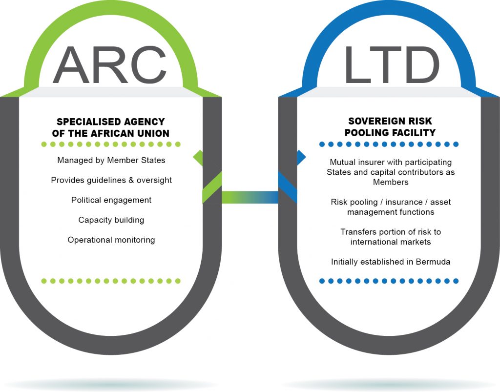 AGENCY & LTD (1) ARC