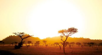 African Risk Capacity: African Innovation in Action