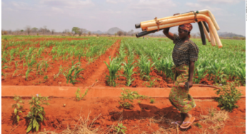 African Risk Capacity: Africa Takes the Lead in Managing Climate Risk