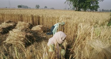 World Bank Blogs: COVID crisis is fueling food price rises for world’s poorest