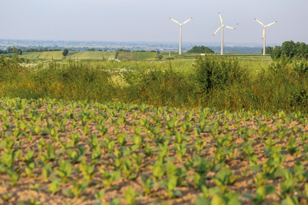 Renewables in Poland: The World Bank is supporting Poland to transition out of coal in a just and fair way. As a result, the share of renewable energy sources in the country’s generation mix will significantly grow above the current levels of around 20 percent.