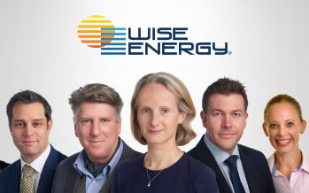 WiseEnergy: Weathering Pandemic Storms a Result of Strong Culture and a Commitment to Clients and Mission
