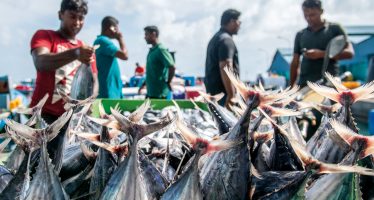 Asian Development Bank: Towards a Blue Deal to Restore the World’s Oceans