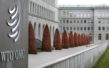 WTO: Global services trade recovering but below pre-pandemic levels, WTO barometer indicates