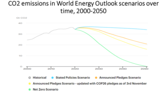 Decarbonisation and “Greenflation”