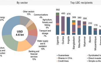 OECD: Plugging the SDG Financing Gap