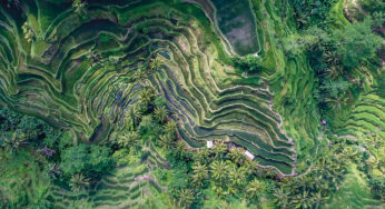 Pollen Street Capital – All Players are Part of the Solution: Proceed with Purpose to Maximise ESG Impact