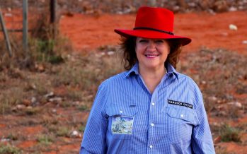 Climate change denier, Mining Champion, Sworn Enemy of Green Policies — Gina Rinehart’s Lonely, Determined Path