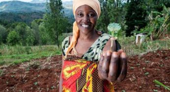 IFC on Climate Adaptation: It’s Everybody’s Business