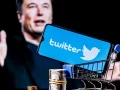 Many a Titter about Twitter as Musk Bungles his Big Purchase