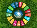 OECD: What Will It Take to Achieve UN’s Sustainable Development Goals?