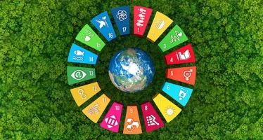 OECD: What Will It Take to Achieve UN’s Sustainable Development Goals?