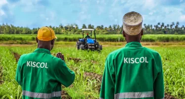 No Sugar Coating for Kenya’s Cane Industry, but KISCOL has an Established Place in Industry