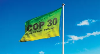 Otaviano Canuto: Politics and Climate Change Make Awkward Bedfellows in the Race to Tackle a Truly Fearsome Foe