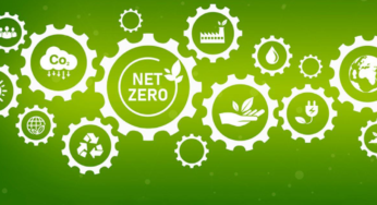 Net Zero: OECD Report Sets the Record Straight on Economic Benefits