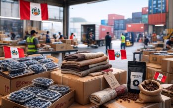Peru’s Export Paradox: How Micro-Policy Shielded SMEs from Macro-Politics