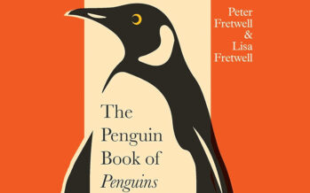 Specialised Performance: What the Humble Penguin Can Teach the Modern C-Suite